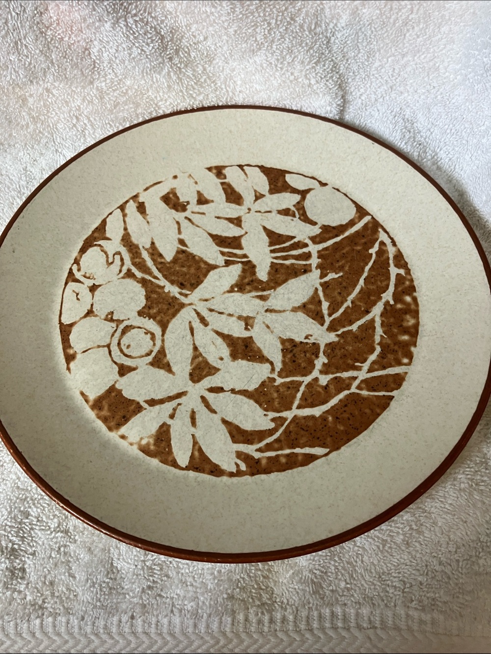 2 Lenox Woodspice Temperware 10 1/4” Dinner Plates